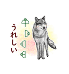 愛の言霊 カタカムナ（個別スタンプ：19）