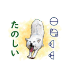 愛の言霊 カタカムナ（個別スタンプ：25）