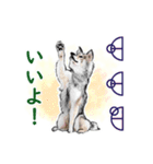 愛の言霊 カタカムナ（個別スタンプ：26）
