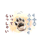 愛の言霊 カタカムナ（個別スタンプ：28）