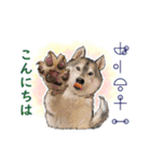 愛の言霊 カタカムナ（個別スタンプ：29）