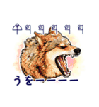 愛の言霊 カタカムナ（個別スタンプ：31）