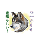 愛の言霊 カタカムナ（個別スタンプ：35）
