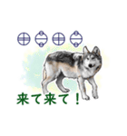 愛の言霊 カタカムナ（個別スタンプ：37）