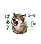 愛の言霊 カタカムナ（個別スタンプ：38）
