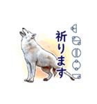 愛の言霊 カタカムナ（個別スタンプ：40）