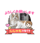 ししゃも④（個別スタンプ：1）
