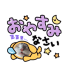 ししゃも④（個別スタンプ：3）