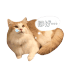 ししゃも④（個別スタンプ：7）