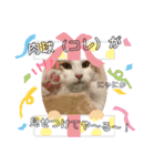 ししゃも④（個別スタンプ：10）