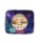 ししゃも④（個別スタンプ：12）