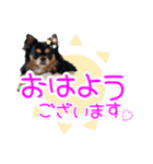ほのぼのクーピー4（個別スタンプ：1）