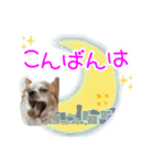 ほのぼのクーピー4（個別スタンプ：4）