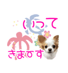 ほのぼのクーピー4（個別スタンプ：7）