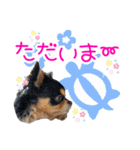 ほのぼのクーピー4（個別スタンプ：8）