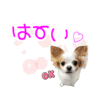 ほのぼのクーピー4（個別スタンプ：10）