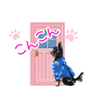 ほのぼのクーピー4（個別スタンプ：13）