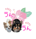 ほのぼのクーピー4（個別スタンプ：14）