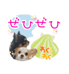 ほのぼのクーピー4（個別スタンプ：15）
