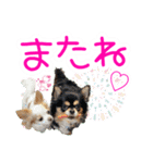 ほのぼのクーピー4（個別スタンプ：18）