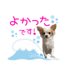 ほのぼのクーピー4（個別スタンプ：20）