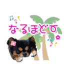 ほのぼのクーピー4（個別スタンプ：21）