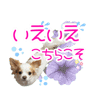 ほのぼのクーピー4（個別スタンプ：22）