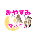 ほのぼのクーピー4（個別スタンプ：23）