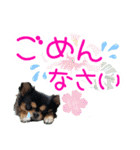 ほのぼのクーピー4（個別スタンプ：29）