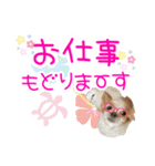 ほのぼのクーピー4（個別スタンプ：31）