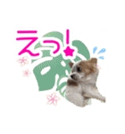 ほのぼのクーピー4（個別スタンプ：32）