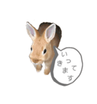 ミニウサギのモカちゃん①（個別スタンプ：6）