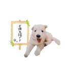レティとレティの子供たち。（個別スタンプ：3）