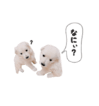レティとレティの子供たち。（個別スタンプ：12）