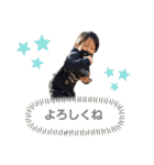 木村家スタンプ1（個別スタンプ：16）