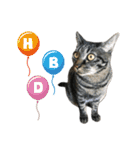 キジ猫ミミちゃんとゆかいな仲間たち（個別スタンプ：39）