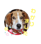 うしおのリアクションスタンプ その②（個別スタンプ：2）