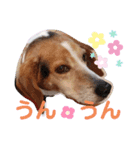 うしおのリアクションスタンプ その②（個別スタンプ：4）