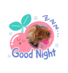 柴犬♀さくらの日常3（個別スタンプ：2）