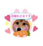 柴犬♀さくらの日常3（個別スタンプ：6）