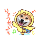 柴犬♀さくらの日常3（個別スタンプ：14）