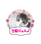 ぴぴことまさお（個別スタンプ：2）