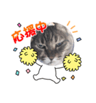 ぴぴことまさお（個別スタンプ：4）