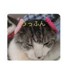 ぴぴことまさお（個別スタンプ：8）