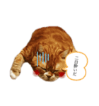 うに猫のひと言①（個別スタンプ：4）