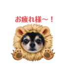 チワワ パピィ（個別スタンプ：6）