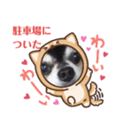 チワワ パピィ（個別スタンプ：18）