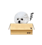 みるちゃん日常スタンプ①（個別スタンプ：26）