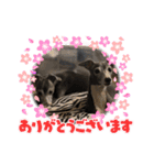 イタグレ！！ラオ＆祭の日常（個別スタンプ：2）