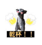 イタグレ！！ラオ＆祭の日常（個別スタンプ：15）